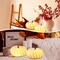 Citrus; 6 Pack DIY Pumpkin Paper Lanterns – Halloween & Fall Decorations, 6 Inch (White); Category:Fall Outdoor Decor; Image:6